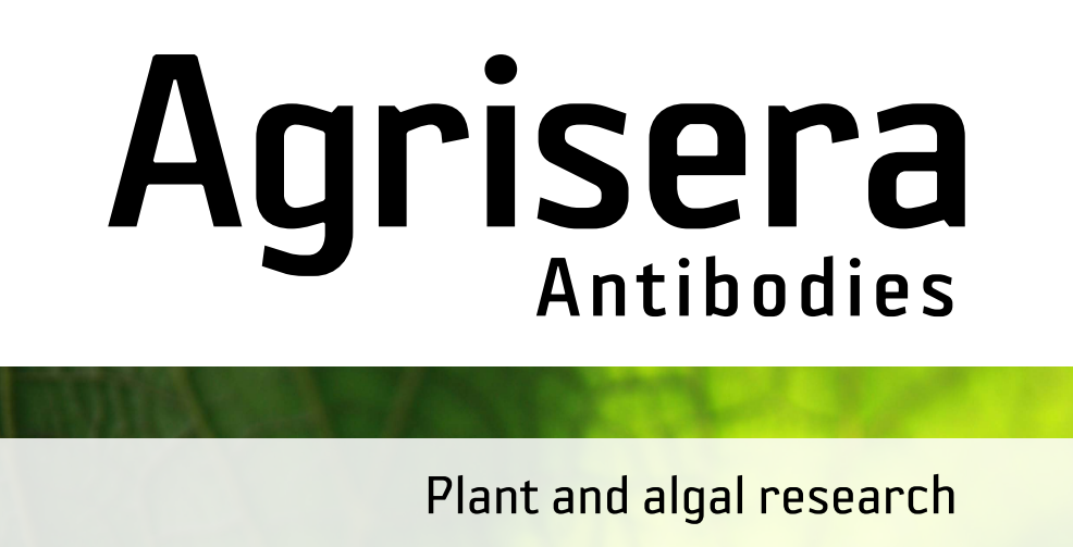 Agrisera MicroRNA相關(guān)研究植物蛋白抗體火熱促銷中！